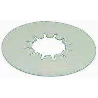 10" SLICK DISK