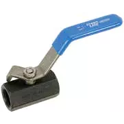 2000LB BALL VALVE