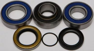 All Balls Chain Case Bearing & Seal Kit (14-1043)