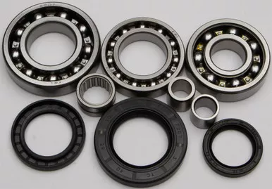 All Balls Rear Differential Bearing And Seal Kit - 25-2020