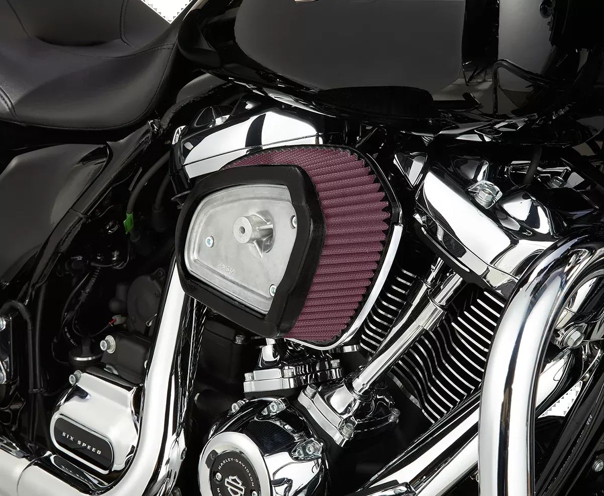 ARLEN NESS Big Sucker Stage-1 - Chrome - M8 18-458
