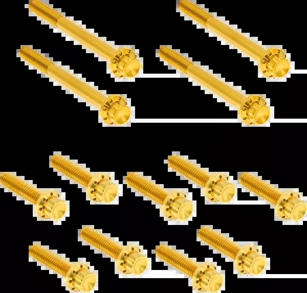 Arlen NESS Bolt Kit - Primary Cover - Titanium - 12-Point - FLT - Gold