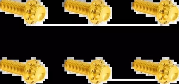 Arlen NESS Bolt Kit – Transmission Top Cover – 12-Point – Titanium – Gold