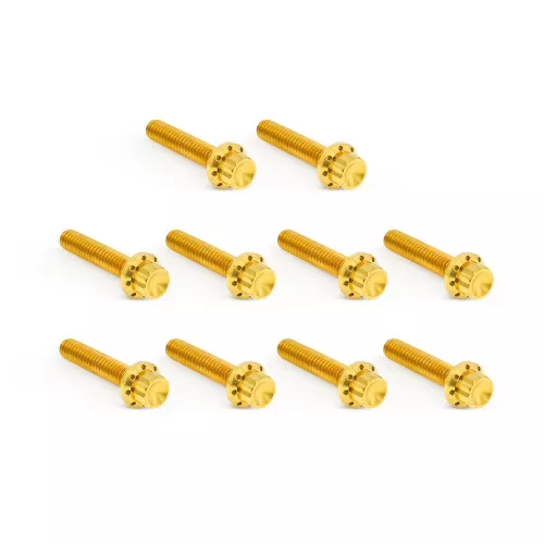 Arlen Ness Cam Cover Titanium 12-Point Bolt Kits for Harley - Gold