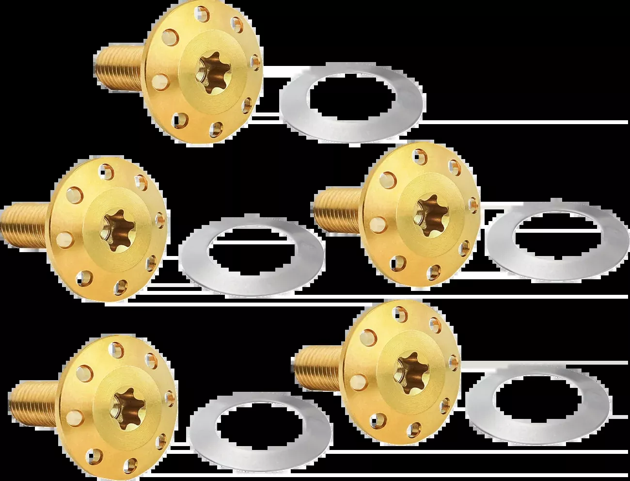 Arlen Ness Gold Front Floating Brake Rotor Bolt Kit 2024-2025 Harley Touring