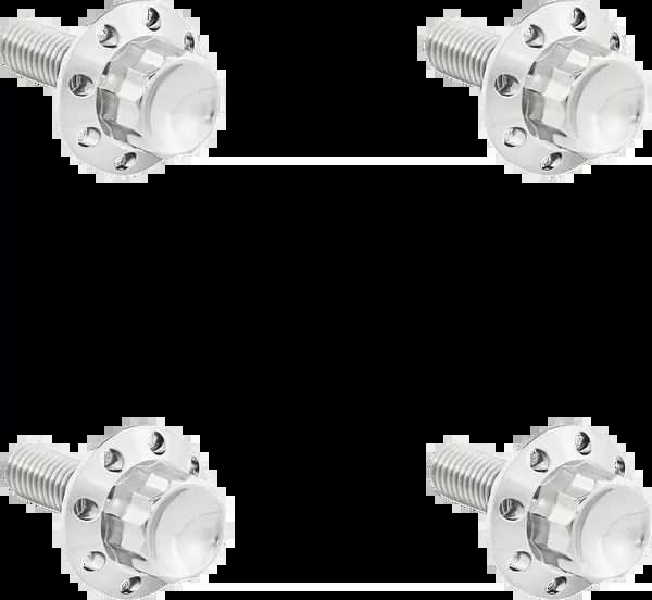 Arlen NESS Titanium 12-Point Windshield Bolts