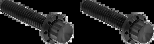 Arlen NESS Transmission Side Cover Titanium 12-Point Bolt Cover