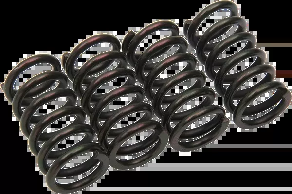 Barnett Clutch Springs - Honda/Suzuki