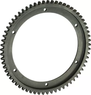 Brinn Ring Gear 79081