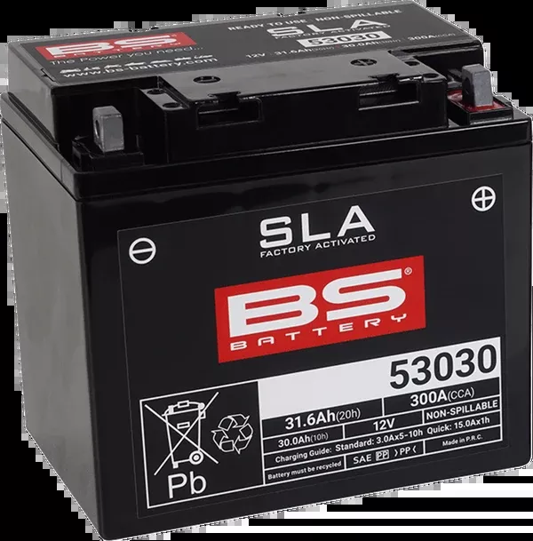 BS Battery Battery – 53030