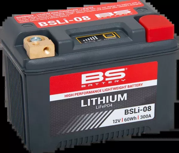 BS Battery Lithium Battery – BSLi-08