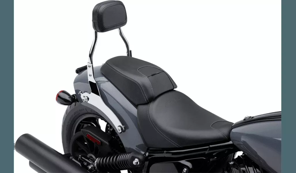 Cobra Mini Detachable Backrest for '22-Up Indian Chief - Chrome