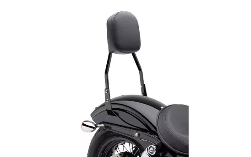 Cobra PassengerBar Tall 17 inch for '00-06 FLSTF & '00-05 FXST Models -Black