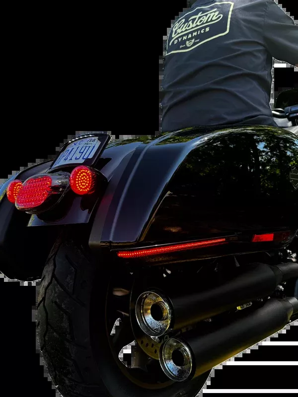 Custom Dynamics LED Saddlebag Lights