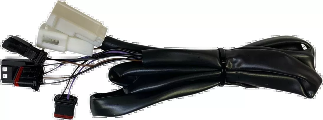 Custom Dynamics Rear Integrated Taillight Harness 2018-2024 Harley Low Rider