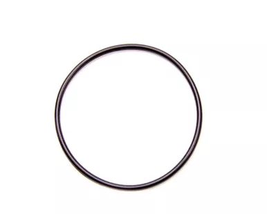 DMI CT1 O-Ring for Seal Plate Flange RRC-1004