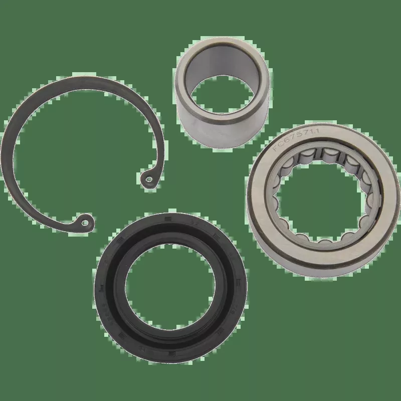 Drag Specialties 08-17 B/T Inner PRI M/S Brging/Seal Kit