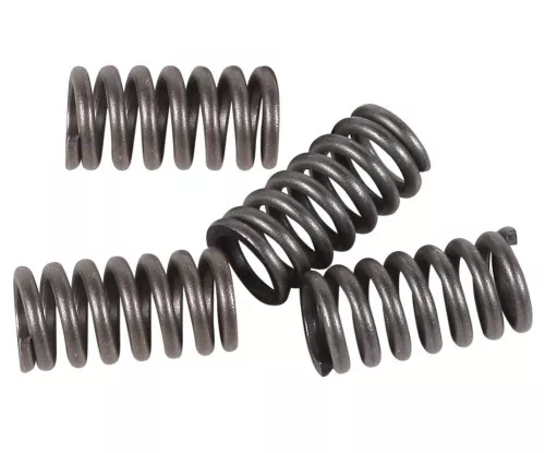 EBC CSK Clutch Spring Set (CSK12)