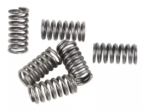EBC CSK Clutch Spring Set (CSK34)