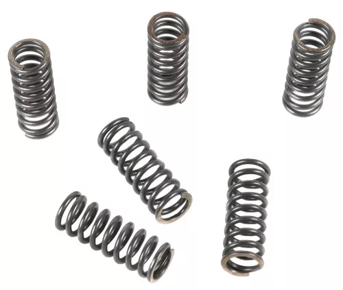 EBC CSK Clutch Spring Set (CSK45)