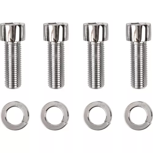 Gardner Westcott Sockethead Swingarm End Cap Bolt Kit for 1999-2010 Harley Touring - Repl OEM #4729
