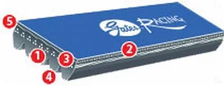 GAT Racing Serpentine Belts
