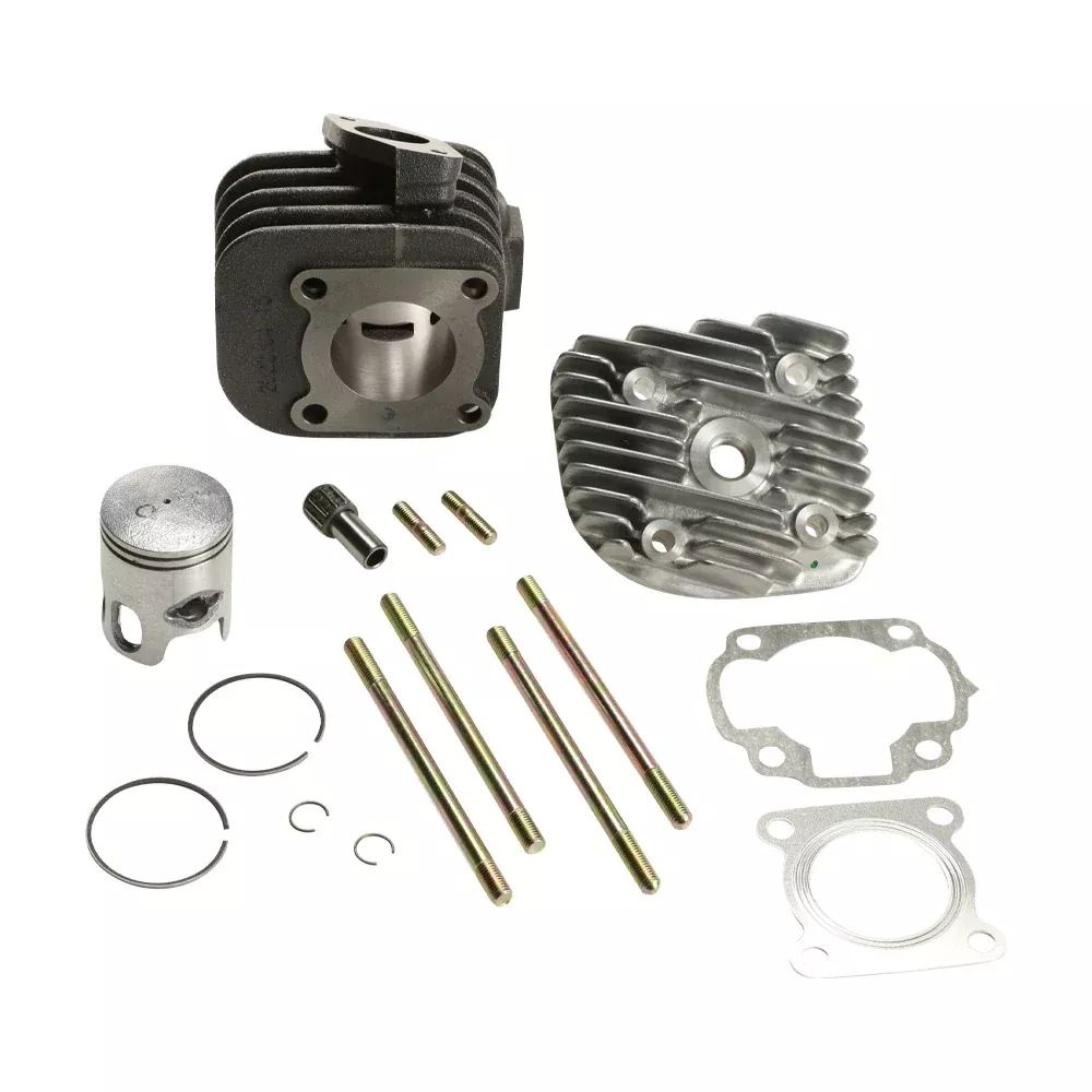Genuine OEM Top-End Rebuild Kit - Buddy 50 2-Stroke