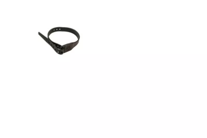 Giant Loop Pronghorn Straps 18 inches – Black