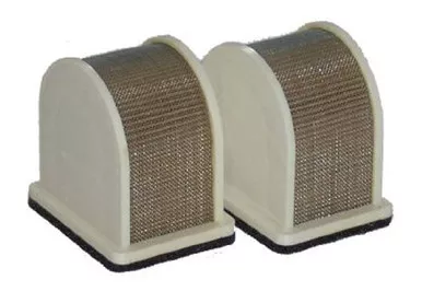 Hiflofiltro HFA2404 Premium OE Replacement Air Filter