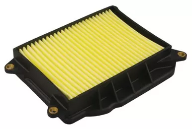 Hiflofiltro HFA4406 Premium OE Replacement Air Filter, Black
