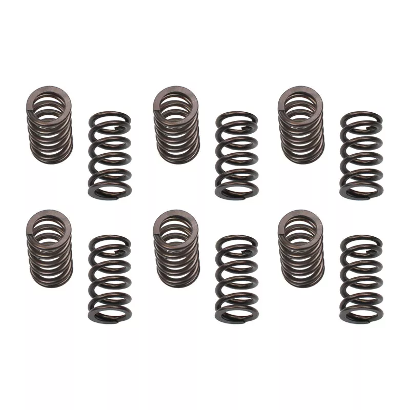 IND PDM Valve Springs