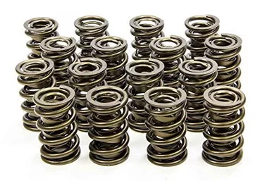 Isky 9995-RAD 1.570" O.D. Valve Spring