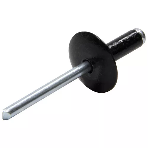 Large Head Rivet Black 250pk ALL18013