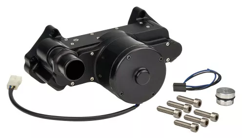 LS Electric Water Pump Black ALL31122