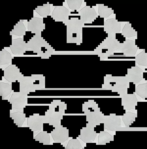Lyndall Racing Brakes LLC Brake Rotor – Front – 11.8″ – Machined