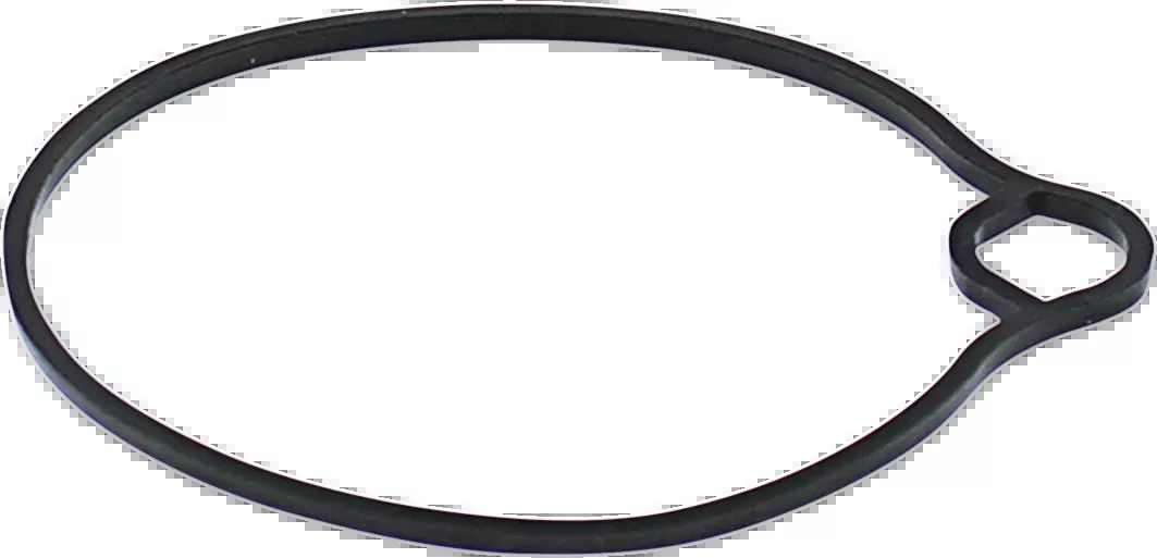 Moose Offroad Replacement Float Bowl Gasket - Arctic Cat/Kawasaki-46-5022