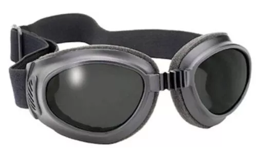 Pacific Coast Value Line Tour Goggles