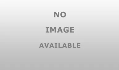 Phoenix USA PGD168TOL Lug Nut for Various Applications