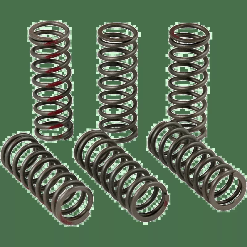 Pro Circuit 13-17 CRF450R Clutch Spring Kit