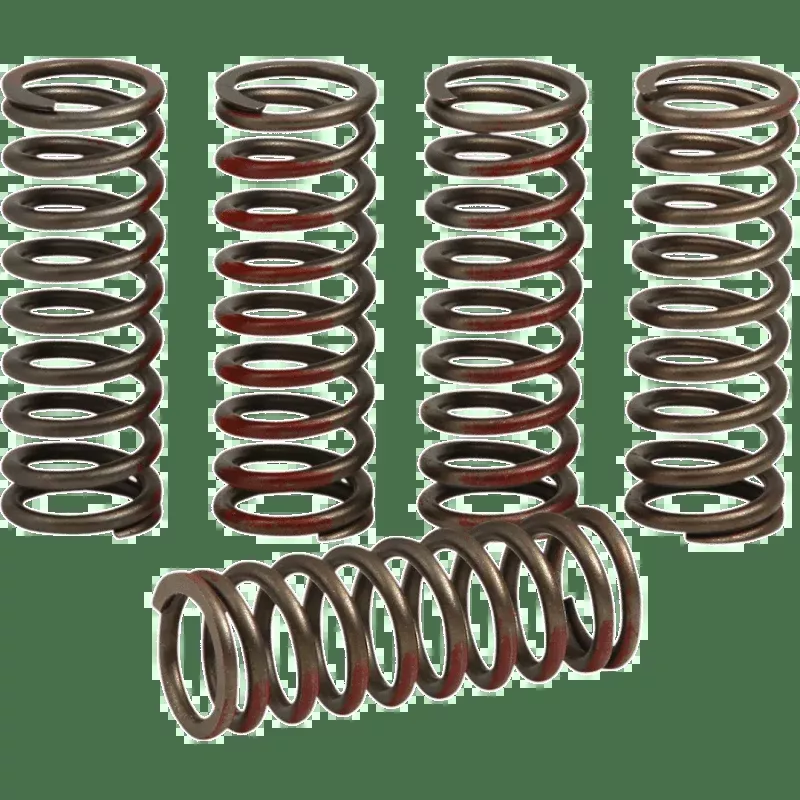 Pro Circuit 2020 CRF250R/RX Clutch Springs