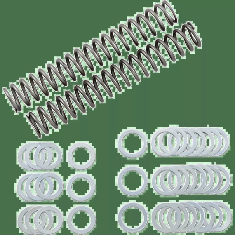 Race Tech 1.10 kg/mm Fork Spring Set '04 YZFR1