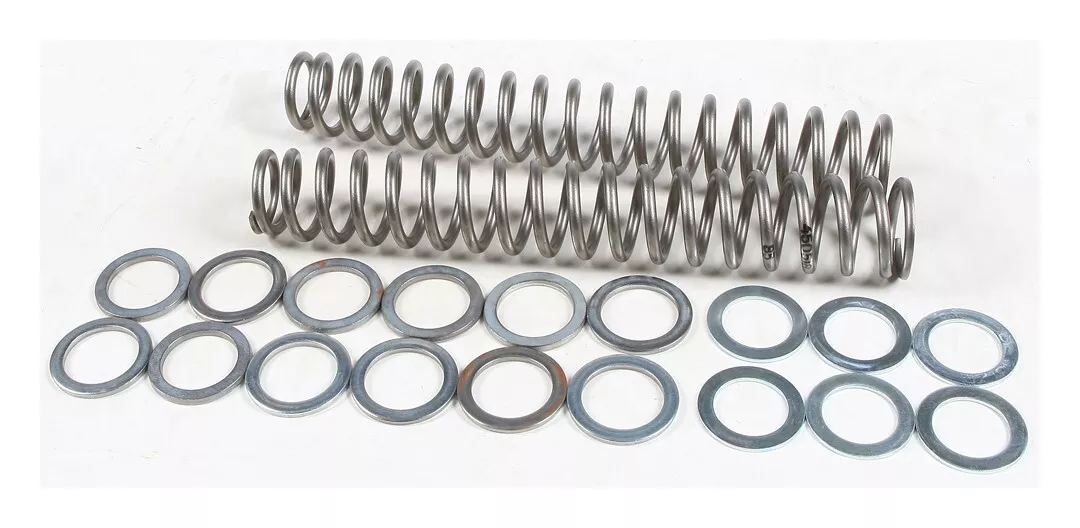 Race Tech Fork Springs FRSP S3825