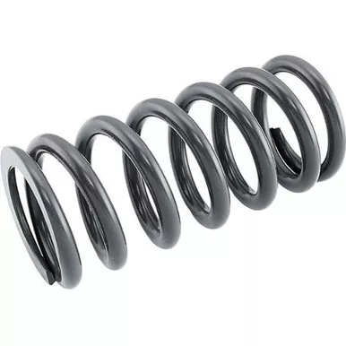Race Tech Shock Spring 6.0Kg 65.2 X 63.5 X 255Mm - SRSP 652660