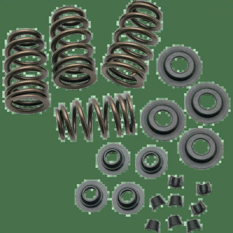 S&S Cycle 84-04 B/T .650" Valve SPR Kit