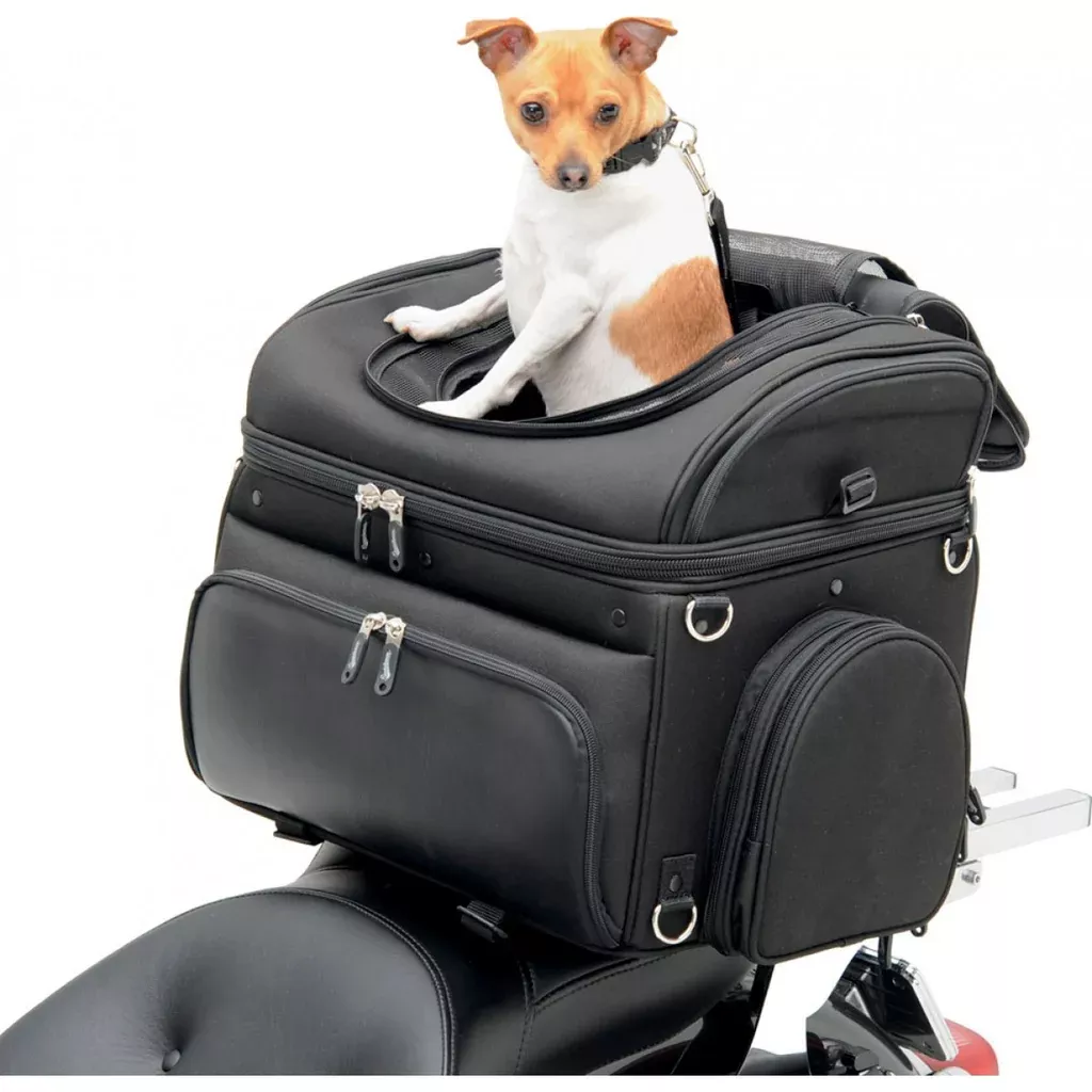 Saddlemen Convertible Pet Carrier