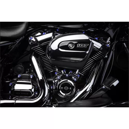 Santoro Fabworx Deluxe Chacho Engine Bolt Kit for Harley M8 Softail/Touring - Purple
