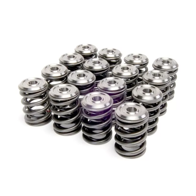 SK Alpha Spring/Retainer Kit