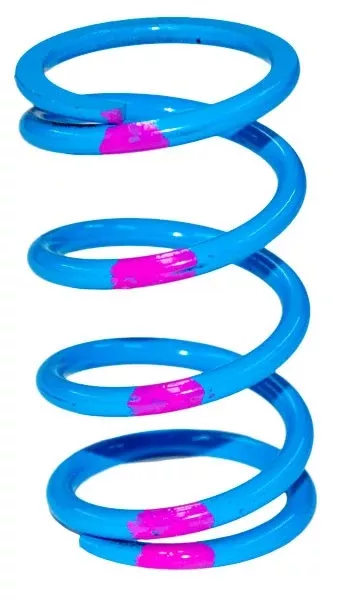 SLP High Performance Drive Clutch Spring
