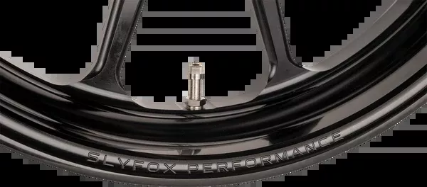 Slyfox Wheel – Track Pro – Front – Dual Disc/With ABS – Black – 19×3