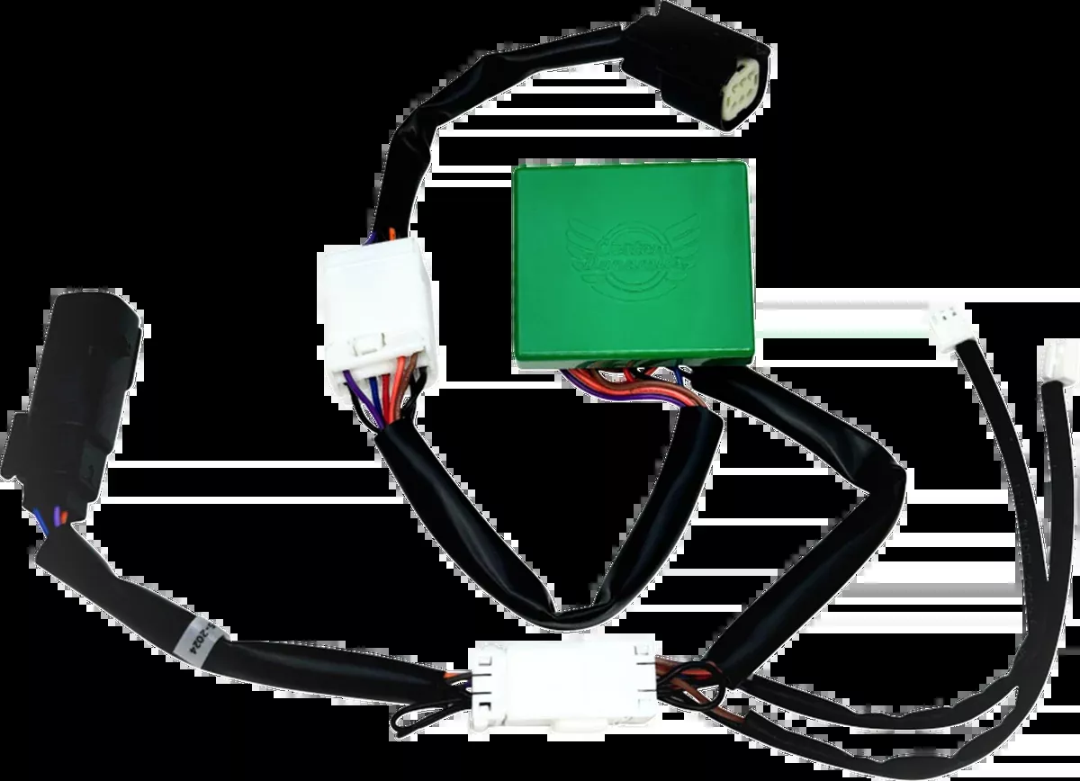 SMART Triple Play Module - '10-'13 FLTRX/FLHX